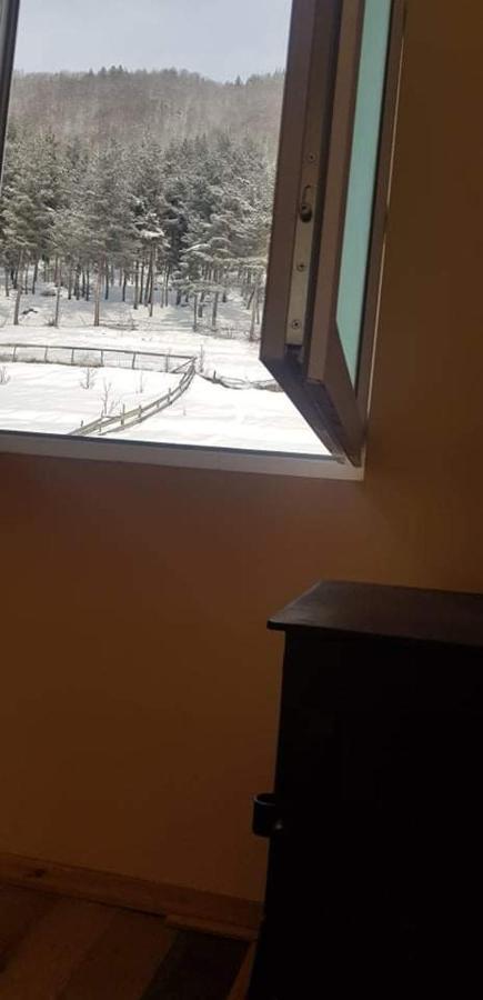 Guesthouse Caucasus Mestia Exteriör bild